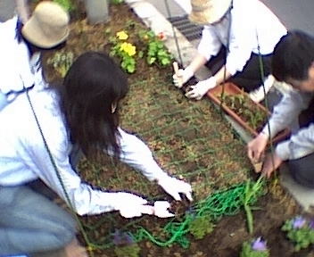 �l�b�g���g���Ĉ����̕c��A���Ă���ʐ^