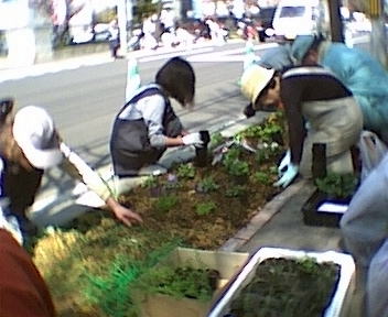 �Ԓd�������Ă���ʐ^